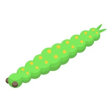 Green worm icon isometric vector. Cocoon silk baby Illustrazione stock