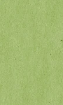 Green wrapping paper with a structure. Texture, Pattern. Stock Photos