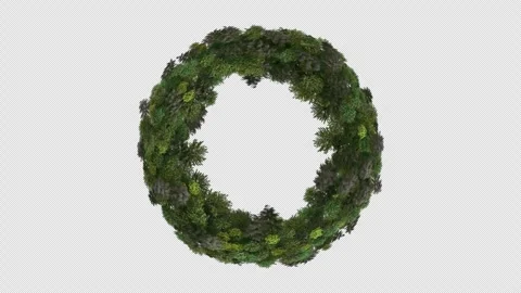 Green Wreath Element Stock Footage 317294473