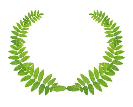 Green wreath Stock Photos