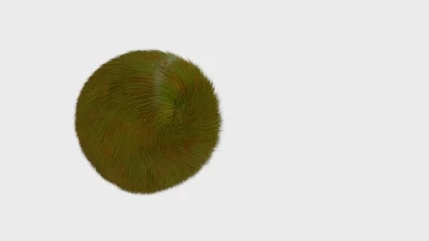 The green-yellow long-piled sphere rotates and rolls from left to right. animate Stock Footage 166145252