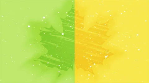 Green yellow natural motion background with maple leaf Stock Footage 214317613