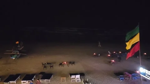 Green Yellow Red flag at Beach at Night. Coast Skyline Vídeos de archivo 236568656