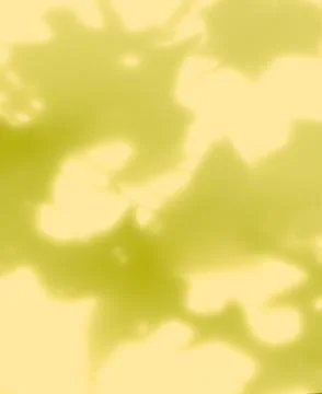 Green Yellow Shadow Abstract Background Overlay Leaf Natural blur Cement 写真素材