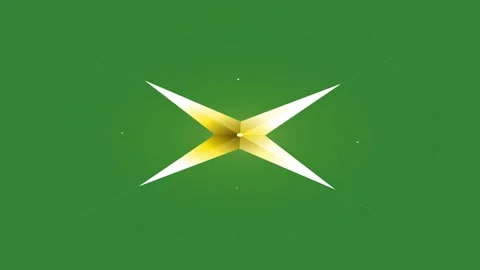 Green Yellow Star Horizontal 16:9 Green Screen Vidéo 340461530