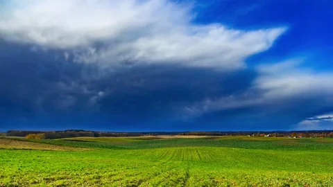 Green young cereal field under cloudy sky in 4k timelapse Stock Footage 69078599