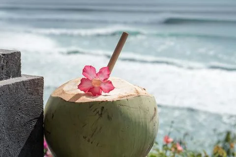 Green young fresh coconut close up with bamboo straw and pink tropical flower Stock Photos