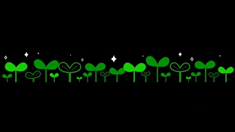 Green Young grass Stock Footage 128626933