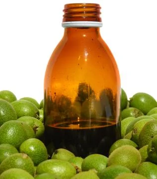 Green young walnuts Stock Photos