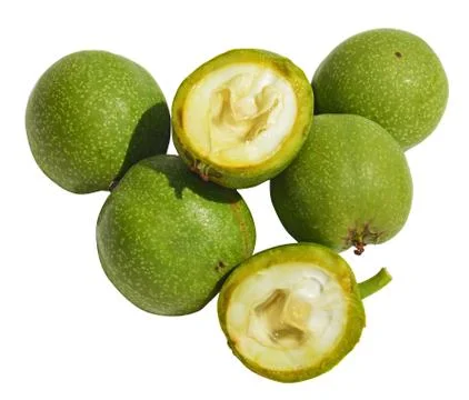 Green young walnuts Stock Photos
