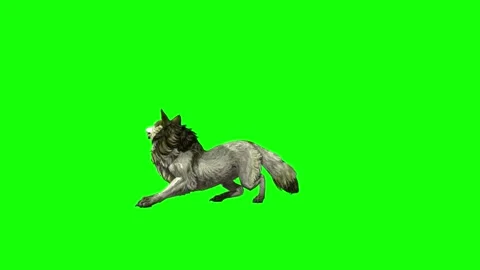 Green zombie Wolf KT attack  green screen animation 3D rendering Stock Footage 296393413