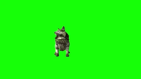Green zombie Wolf KT attack  green screen animation 3D rendering Stock Footage 296393470
