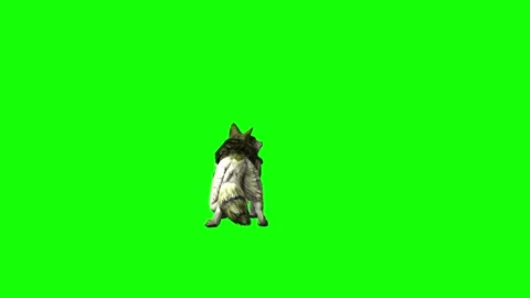 Green zombie Wolf KT attack  green screen animation 3D rendering Stock Footage 296393484