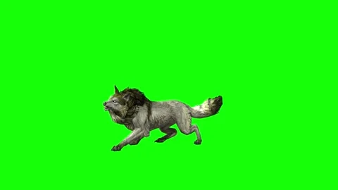 Green zombie Wolf KT  bite throw green screen animation 3D rendering Stock Footage 296402519