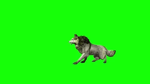 Green zombie Wolf KT death green screen animation 3D rendering Stock Footage 296393590