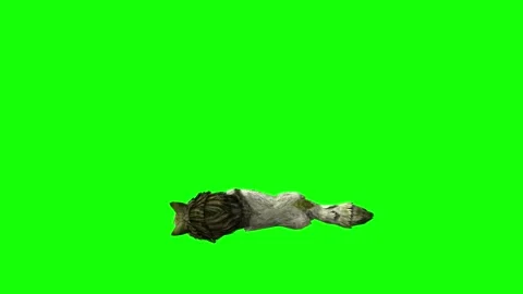 Green zombie Wolf KT  down loop green screen animation 3D rendering Stock Footage 296402300