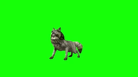 Green zombie Wolf KT  down out  green screen animation 3D rendering Stock Footage 296402376