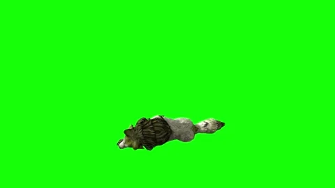 Green zombie Wolf KT  down in  green screen animation 3D rendering Stock Footage 296402549