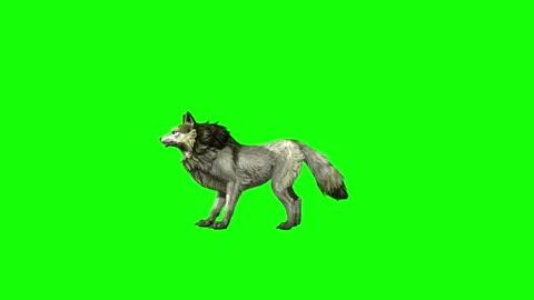 Green zombie Wolf KT  idle stand green screen animation 3D rendering Stock Footage 296402118