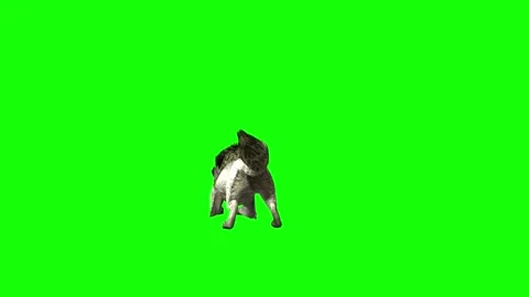 Green zombie Wolf KT  jump forward green screen animation 3D rendering Stock Footage 296401932
