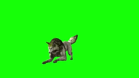 Green zombie Wolf KT  jump forward  green screen animation 3D rendering Stock Footage 296401942