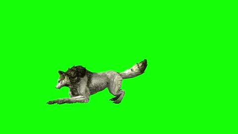 Green zombie Wolf KT  jump forward green screen animation 3D rendering Stock Footage 296402094