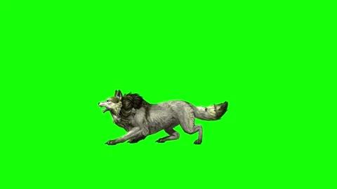 Green zombie Wolf KT  jump around  green screen animation 3D rendering Stock Footage 296402144