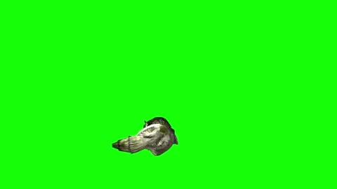 Green zombie Wolf KT  lay down  green screen animation 3D rendering Stock Footage 296401881