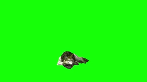 Green zombie Wolf KT  lay down green screen animation 3D rendering Stock Footage 296401899