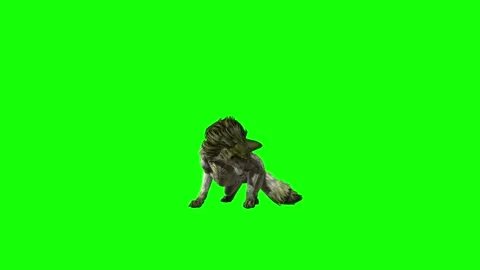 Green zombie Wolf KT  lick leg  green screen animation 3D rendering Stock Footage 296401912
