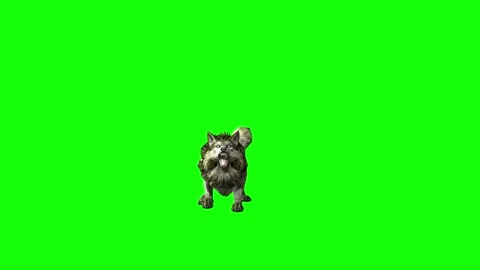Green zombie Wolf KT  sit roar  green screen animation 3D rendering Stock Footage 296400146