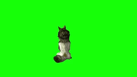 Green zombie Wolf KT  sit look around  green screen animation 3D renderin Stock Footage 296400165