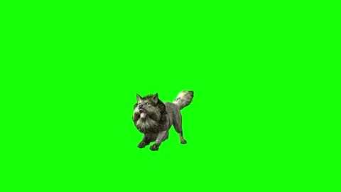 Green zombie Wolf KT  sit roar green screen animation 3D rendering Stock Footage 296400245