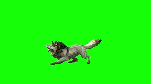 Green zombie Wolf KT  sit roar  green screen animation 3D rendering Stock Footage 296400292
