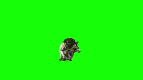 Green zombie Wolf KT  sit ear scratching  green screen animation 3D rende Stock Footage 296401461