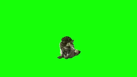Green zombie Wolf KT  sit ear scratching  green screen animation 3D rende Stock Footage 296401489