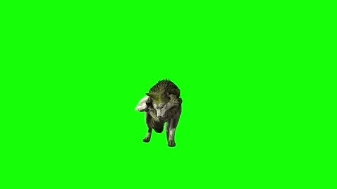 Green zombie Wolf KT  stand ear scratching  green screen animation 3D ren Stock Footage 296400338