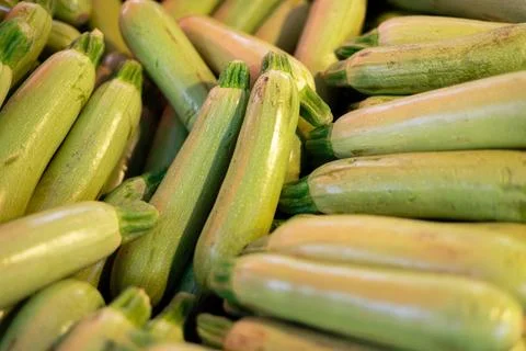 Green zucchini as background image Stock Photos