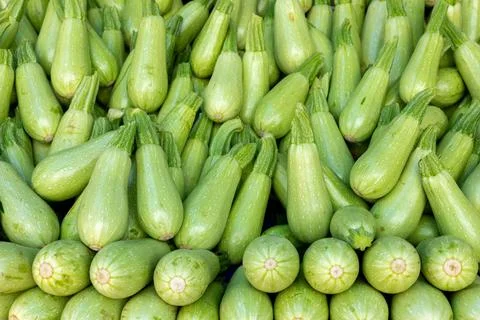 Green zucchini as background image Stock Photos