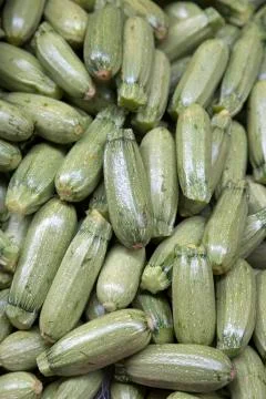Green Zucchini Background Stock Photos