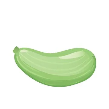 Green zucchini in flat design. Courgette vegetable, vegetarian dieting. Vecto Stock Illustration