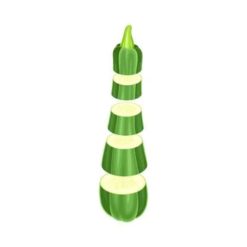 Green zucchini slices lying in vertical row. Healthy organic vegetable vector Stock Illustration