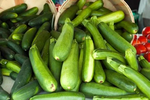 Green Zucchini Squash Stock Photos