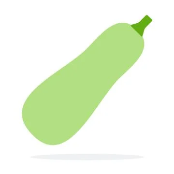 Green zucchini vector flat isolated Stock-Illustration