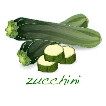 Green zucchini vector Stock-Illustration