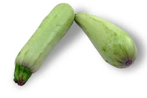 Green zucchini vegetable Stock Photos