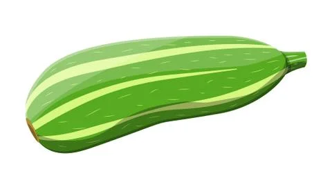Green zucchini vegetable. Squash isolated on white Illustrazione stock