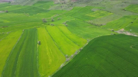 Green_fields_with a drone. Fields turning green in spring. Stockbeeldmateriaal 334648186
