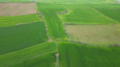 Green_fields_with a drone. Fields turning green in spring. Stockbeeldmateriaal 334648255