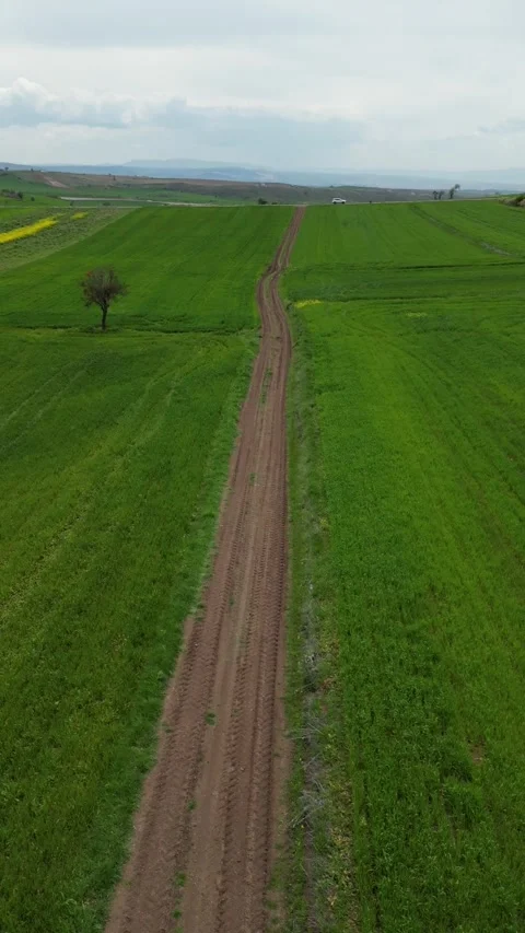 Green_fields_with a drone. Vertical screen_Fields turning green in spring. Stockbeeldmateriaal 334648209